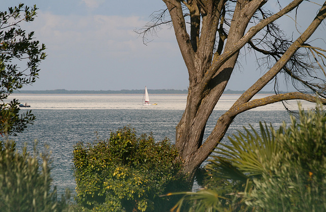 Vu de l'ile de Ré (France)