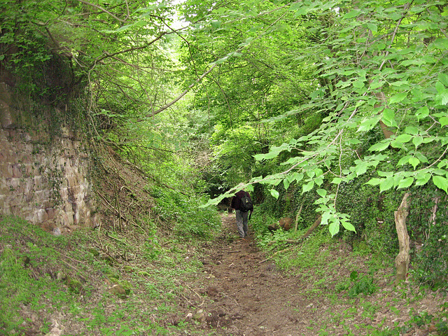 Path down towards Winscote Cottages near Newton