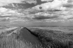 Suffolk drain