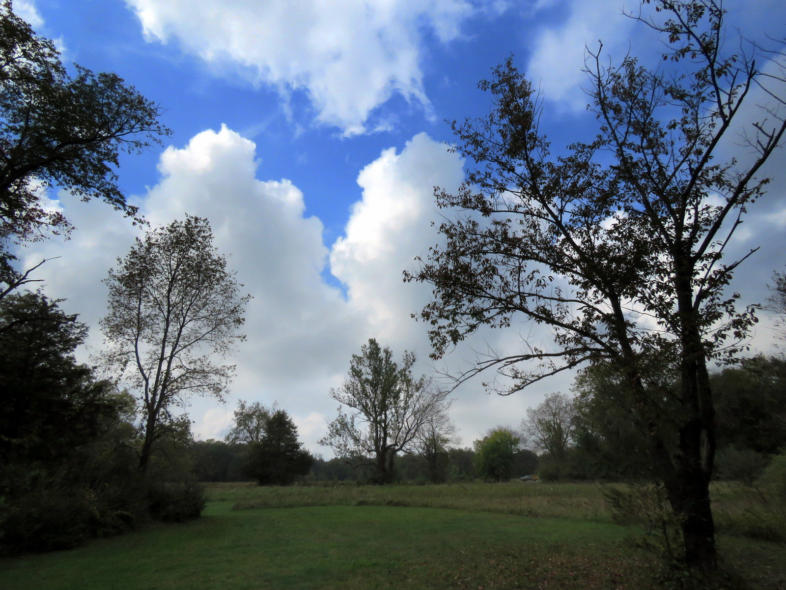 Early afternoon at the park.