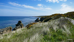 The Moray coast