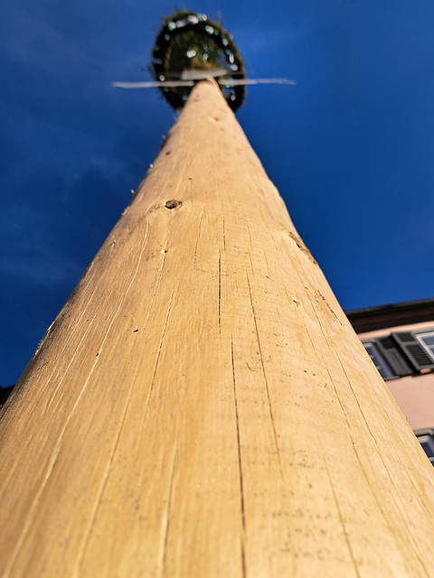 Maibaum in Murrhardt