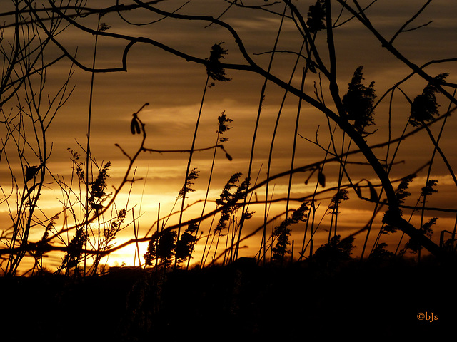 coucher d'hiver coucher d'hiver