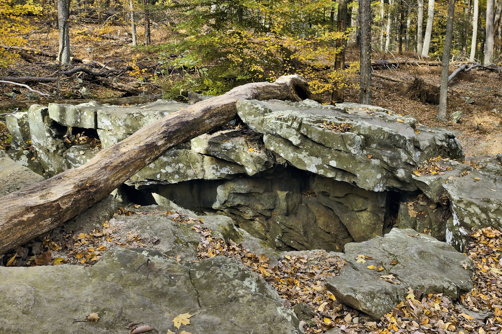 Thinking of Archimedes – Cunningham Falls State Park, Thurmont, Maryland
