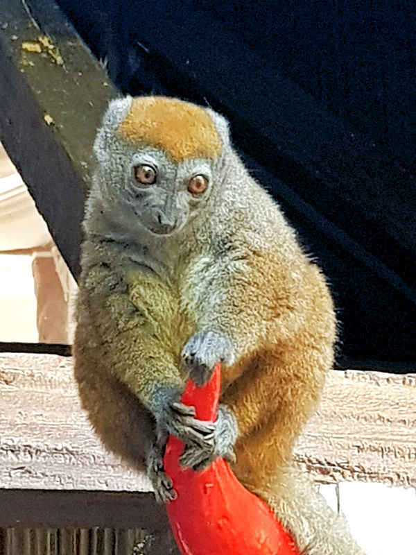 Image de Madagascar