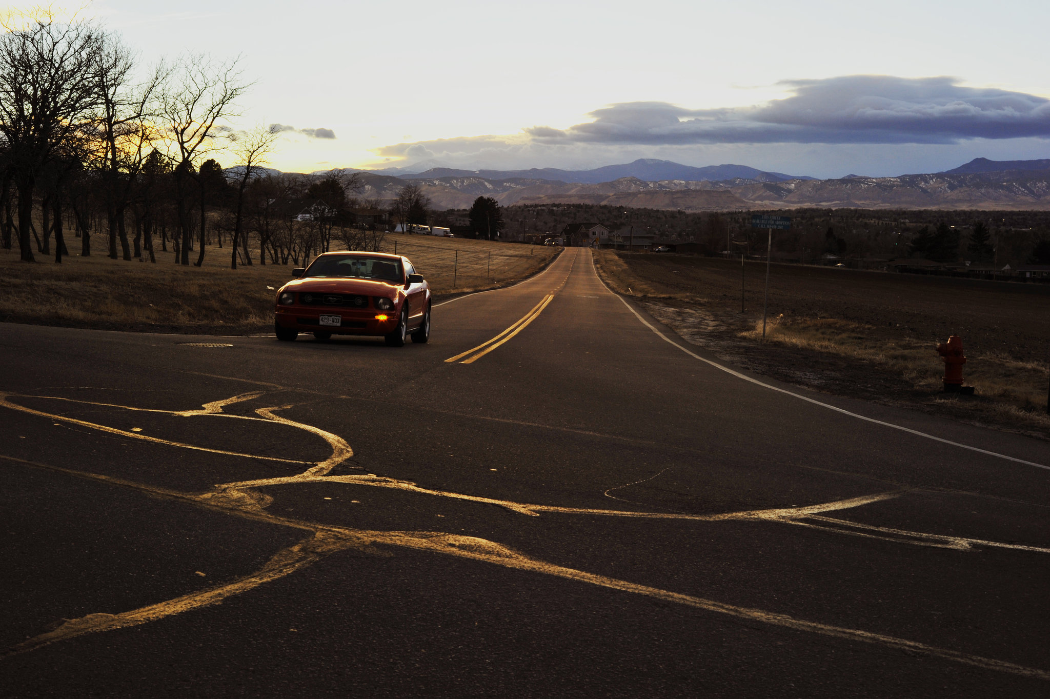 mustang