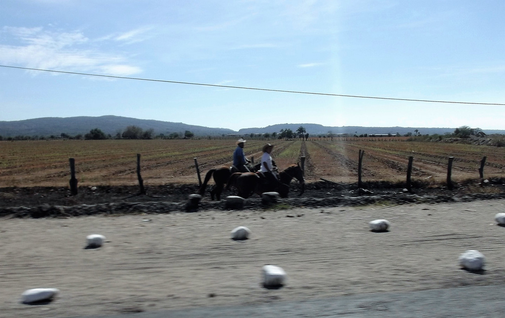 Au fil des roches trotteuses