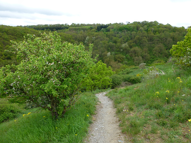 Auf dem Nette-Schieferpfad