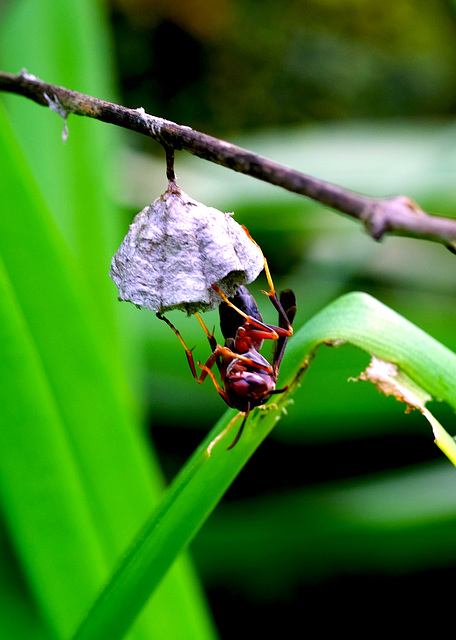 As close as I cared to get