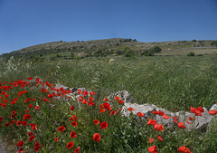 Landscape near Módica