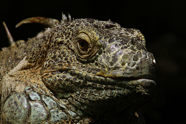 Le prince charmant incognito .