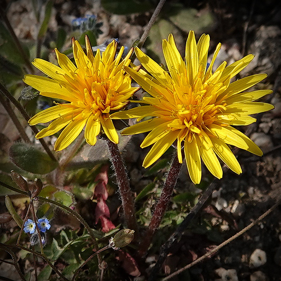 La beauté dans toute sa simplicité ..