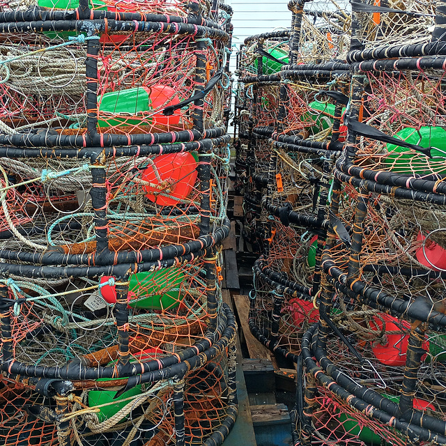 Crab Pots (H.A.N.W.E.)