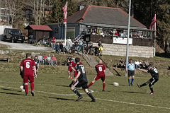 20250412_Voigtsfeld Benne, Fußball, Wildpflanzen 20250412_Voigtsfeld Benne, Fußball, Wildpflanzen