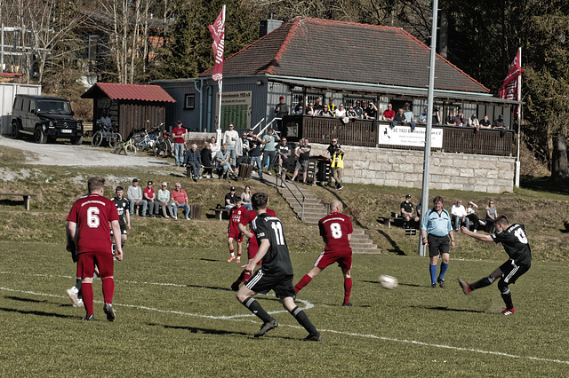 20250412_Voigtsfeld Benne, Fußball, Wildpflanzen