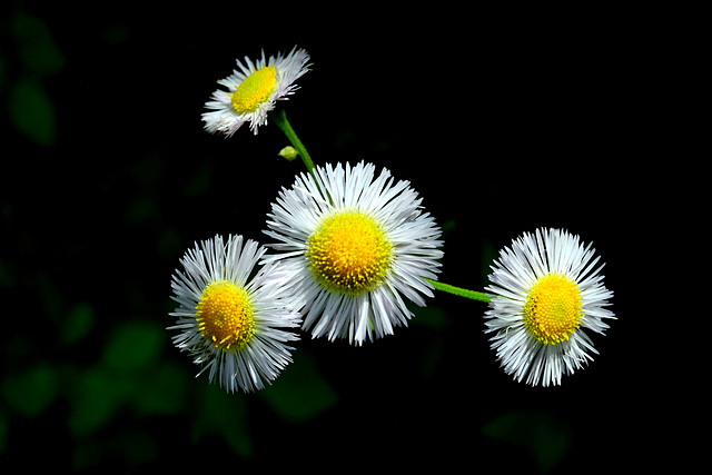 For some reason . . .