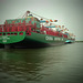 Containergiganten ARCTIC OCEAN u. ELLY MAERSK im Waltershofer Hafen