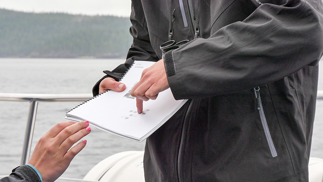 Whale watching nahe Telegraph Cove