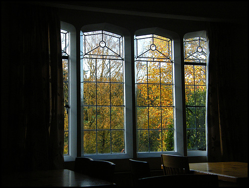 autumn window at Beer YHA