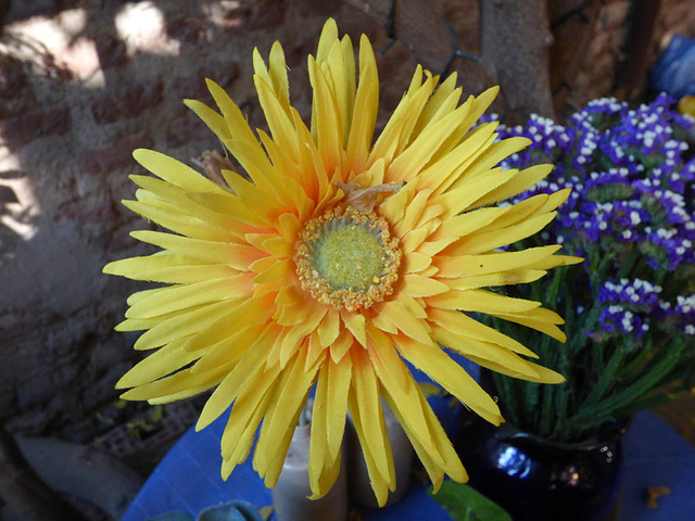 La flor solar