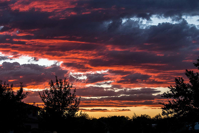 Albuquerque sunset