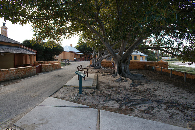 Cottages On Rottnest Island