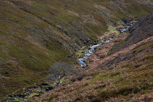 Bray Clough