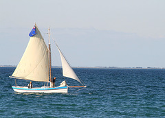 Au large de l'ile de Ré (France)