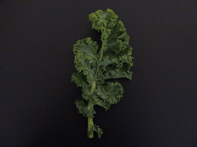 Hoja de kale