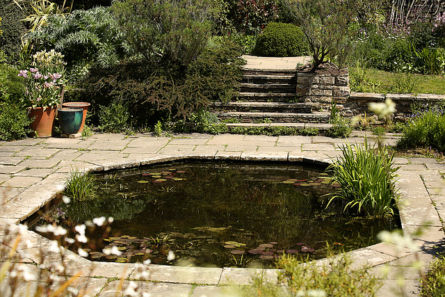 Sunk Garden Pond