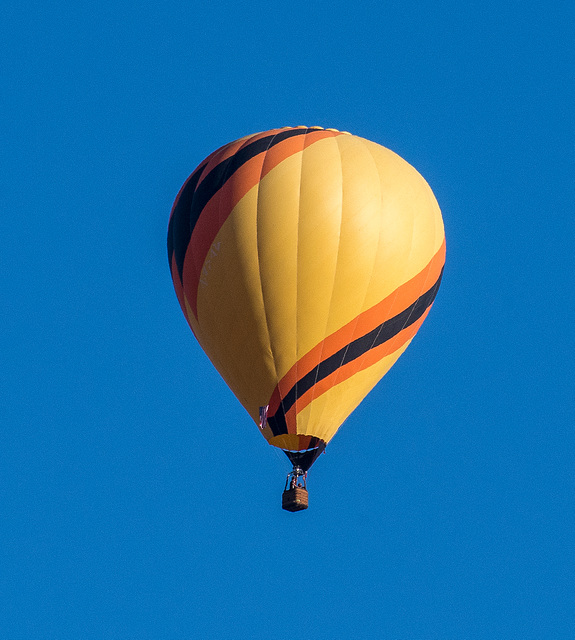 Albuquerque balloon fiesta