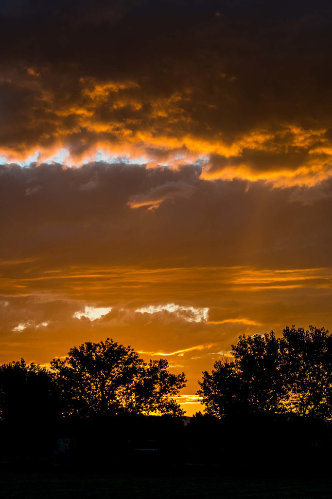 Albuquerque sunset2