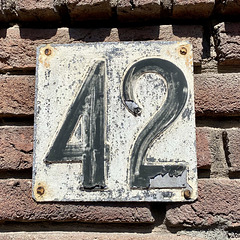 № 42