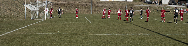 20250412_Voigtsfeld Benne, Fußball, Wildpflanzen