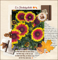 an autumn poem ✨️ September 22nd