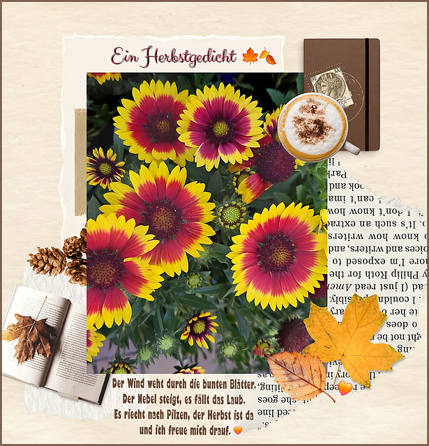 an autumn poem ✨️ September 22nd an autumn poem ✨️ September 22nd