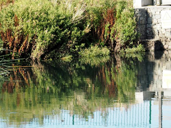 Moselle reflecctions