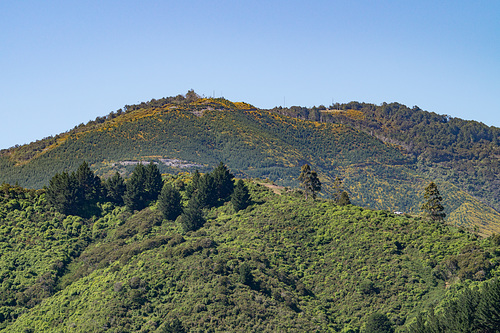 Neuseeland - Nelson - Centre of New Zealand