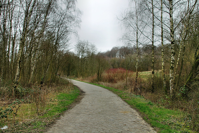 Ehem. Zechengelände Constantin 4/5 mit erhaltener Zufahrtstraße (Herne) / 22.02.2020