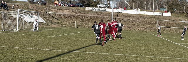 20250412_Voigtsfeld Benne, Fußball, Wildpflanzen