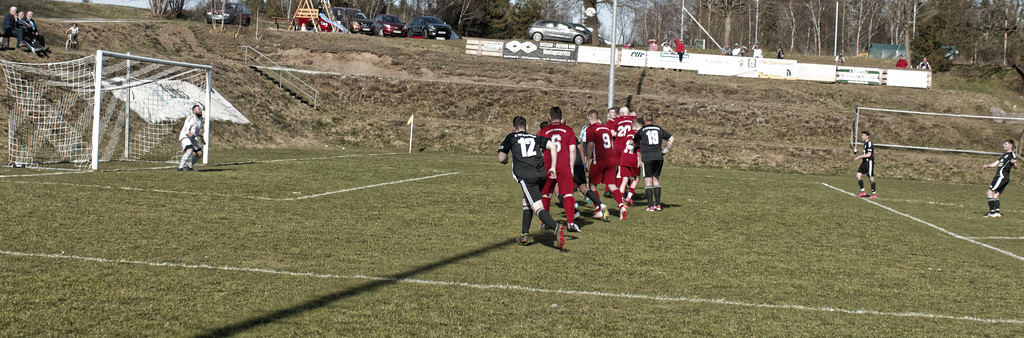 20250412_Voigtsfeld Benne, Fußball, Wildpflanzen