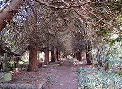 st pancras and islington cemetery, east finchley, london