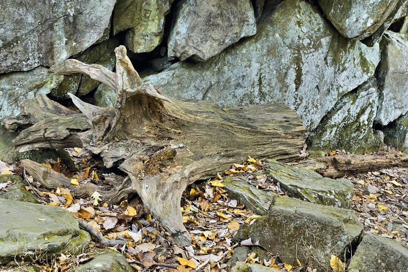 Accidental Art – Cunningham Falls State Park, Thurmont, Maryland