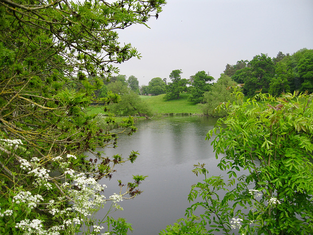 The Mere from the Lane leading to Worfield