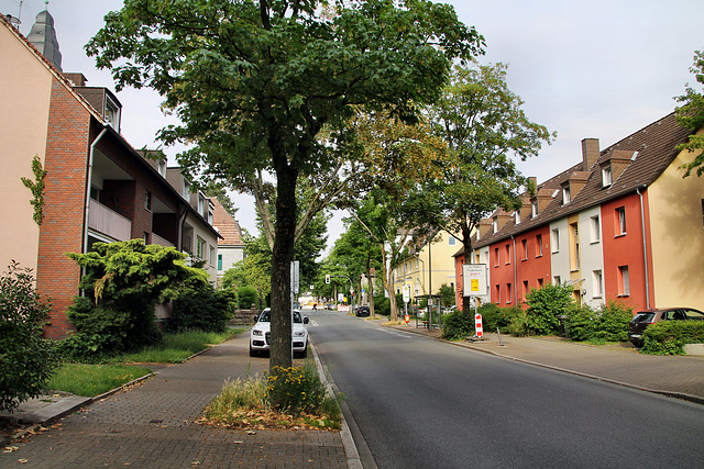 Friederikastraße (Bochum-Wiemelhausen) / 15.06.2020