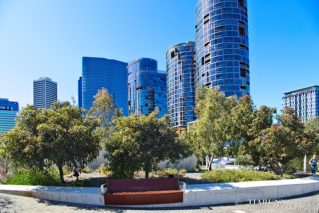 Bench at the Quay