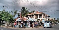 Negombo  Sri Lanka (230) -1