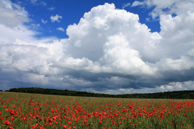 la campagne picarde