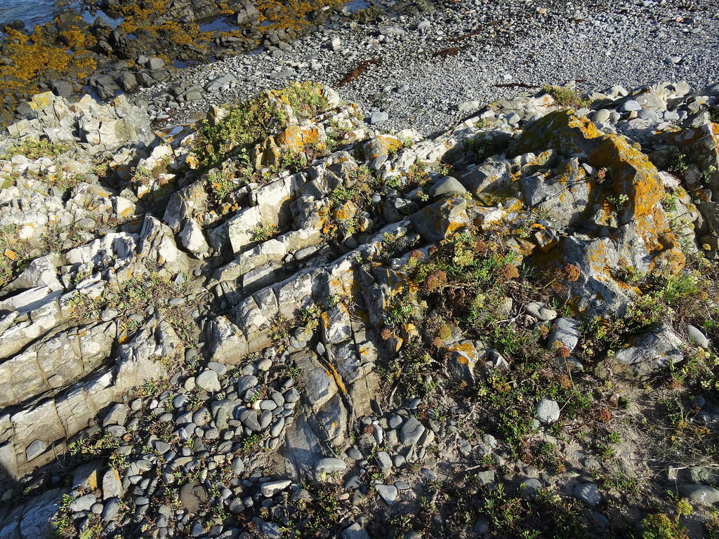 aysep2019coast (1024)
