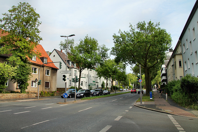 Königsallee (Bochum-Wiemelhausen) / 15.06.2020